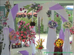 ҹѴ͡Թ Shanel LK Flower Hua Hin Thailand